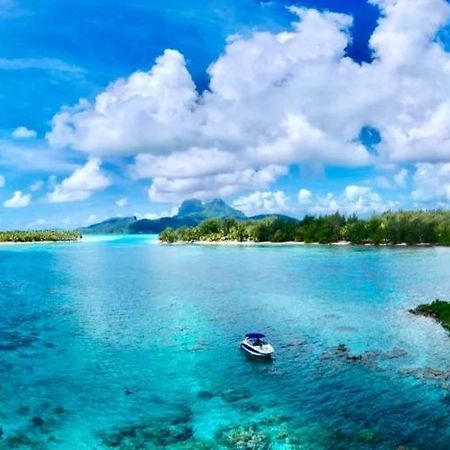 Sunset Hill Lodge Bora Bora Eksteriør bilde